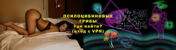 индика Армянск