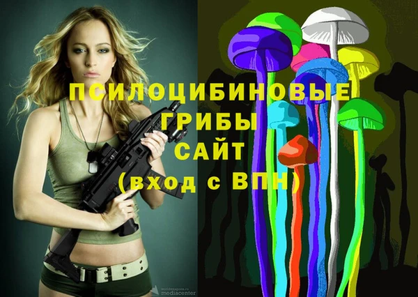 индика Армянск
